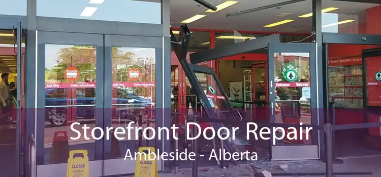 Storefront Door Repair Ambleside - Alberta