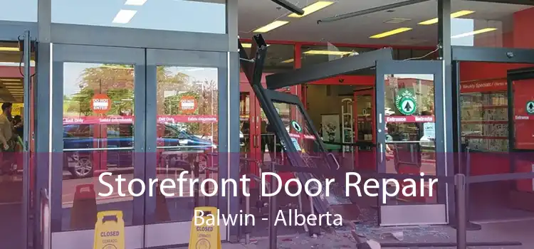 Storefront Door Repair Balwin - Alberta