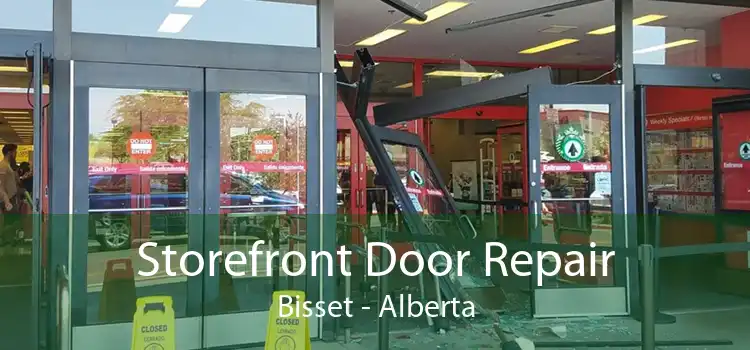 Storefront Door Repair Bisset - Alberta