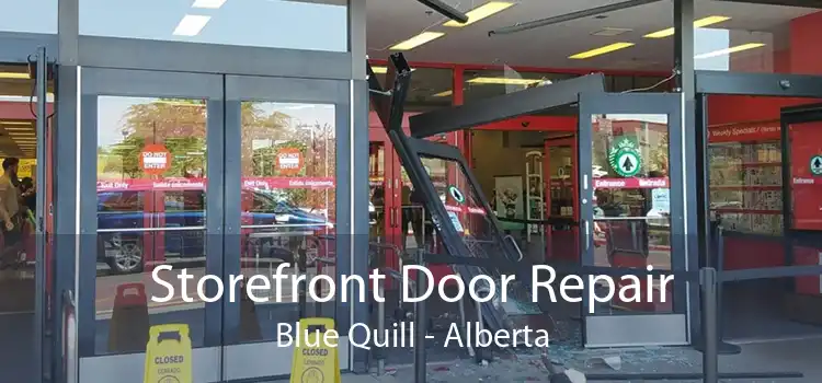 Storefront Door Repair Blue Quill - Alberta