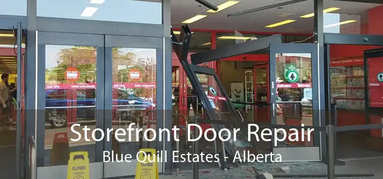 Storefront Door Repair Blue Quill Estates - Alberta