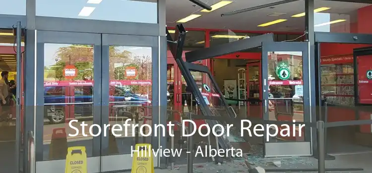 Storefront Door Repair Hillview - Alberta