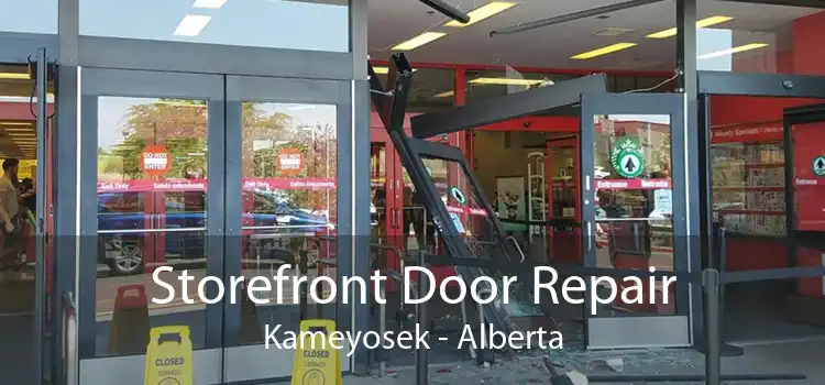 Storefront Door Repair Kameyosek - Alberta