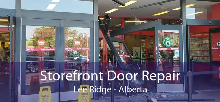 Storefront Door Repair Lee Ridge - Alberta