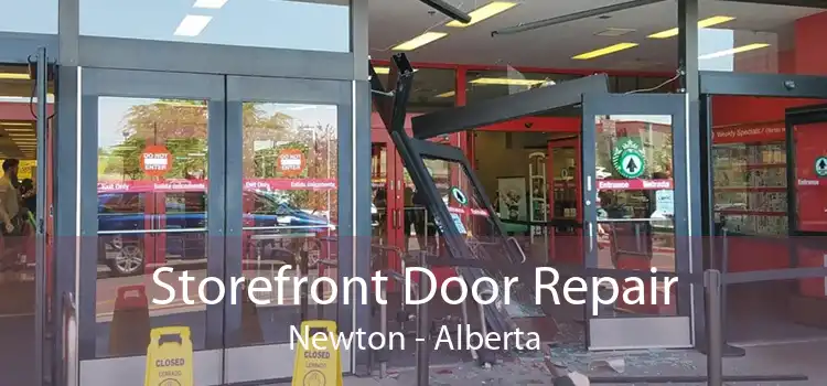 Storefront Door Repair Newton - Alberta